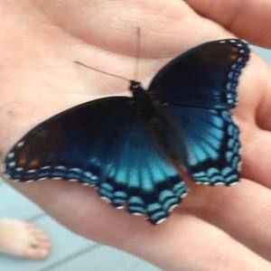 Meet your Posher, Katelyn